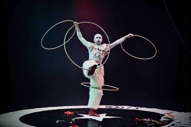 La Nuit du cirque